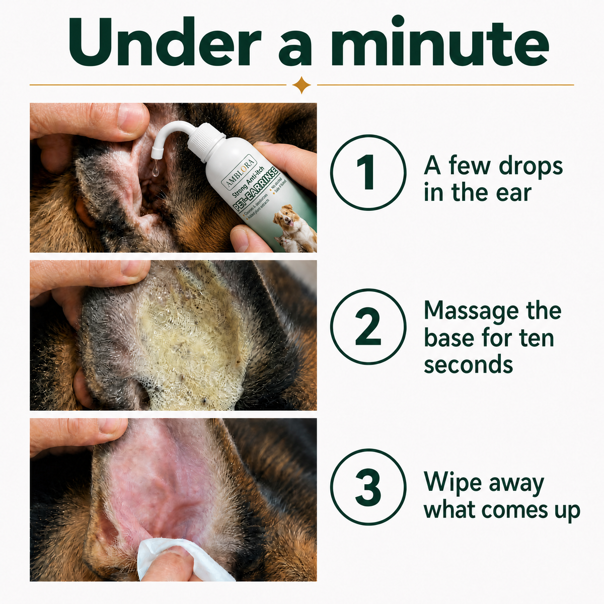 Ear Cleaner for Dogs & Cats | Buy 1 Get 1 FREE