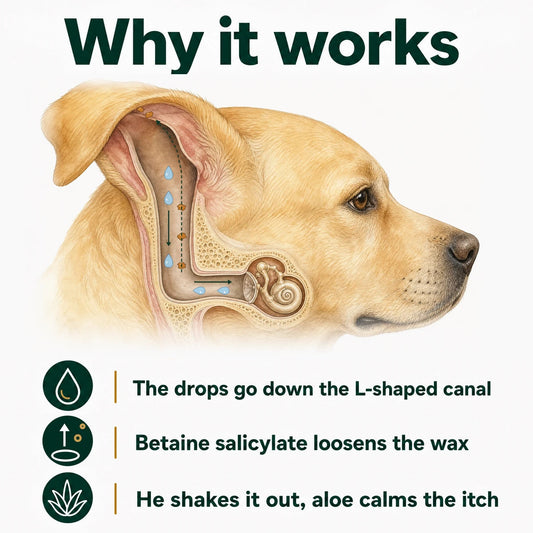 Ear Cleaner for Dogs & Cats | Buy 1 Get 1 FREE